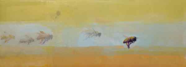 Searching For Nectar I