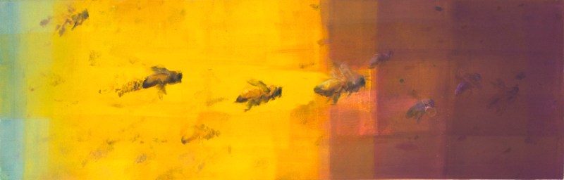 Foraging I, (Honeybees)