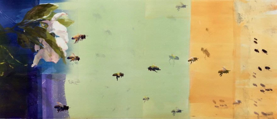 Bees and Blossoms II